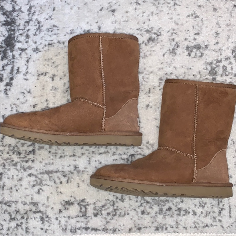 Chesnut Ugg boots